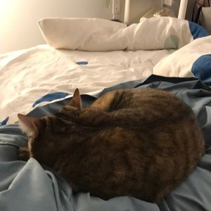 Meet your Posher, Luis fernando